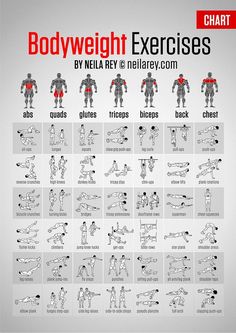 the bodyweight exercises chart is shown