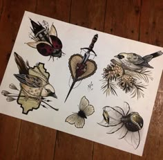 an assortment of bugs and flowers on a piece of white paper with wood flooring