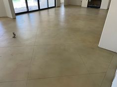 Stained concrete with design Scored Concrete Floors, Stained Concrete Floor, Staining Concrete, Concrete Stain Colors, Acid Stained Concrete Floors, Decorative Concrete Floors, Stained Concrete Floors, Acid Stained Concrete, Floor Restoration