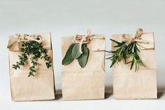 three bags with plants tied to them on the side, one is brown and two are green