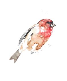 a watercolor painting of a bird on a white background