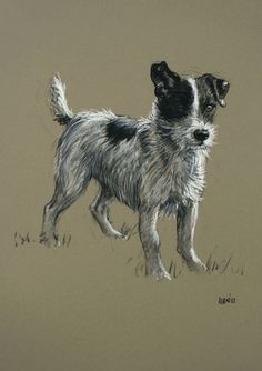 a drawing of a dog standing in the grass