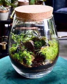 a glass jar filled with plants on top of a green tablecloth covered ottoman in a living room