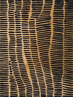 an animal skin pattern with black and tan stripes