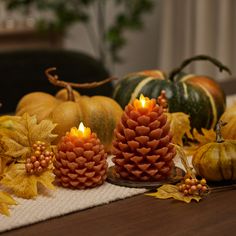 some pine cones and pumpkins on a table