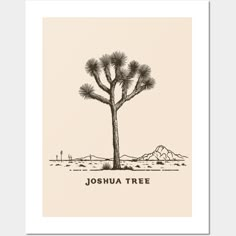 the joshua tree is shown in black and white on a beige background with mountains behind it