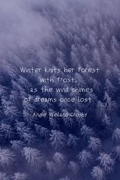 an aerial view of snow covered trees with a quote