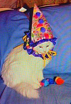 a white cat wearing a party hat on top of a blue bed with pillows and toys