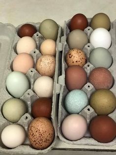 two cartons filled with different colored eggs