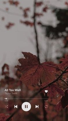 an image of leaves and music player on the screen for what appears to be fall