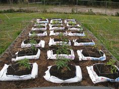 the garden is ready to be planted and put in bags on the fenced off area