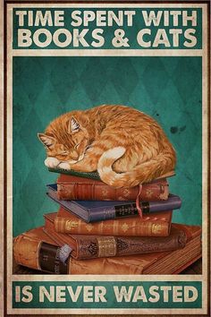 a poster with a cat sleeping on top of books and the words time spent with books & cats is never wasted