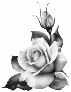 a black and white photo of a rose with leaves on the bottom half of it