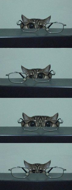 three shelves with glasses on each shelf and one has a cat's head in the middle