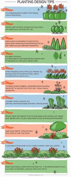 the different types of plants and their uses