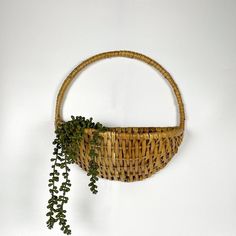 a wicker basket with green plants hanging from it's sides on a white wall