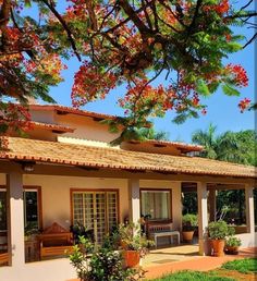 a house with flowers on the roof and trees in the front yard, along with potted plants