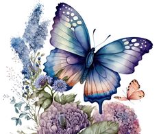 a blue butterfly sitting on top of some purple and white flowers next to each other