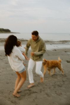 a man and woman playing with a dog on the beach