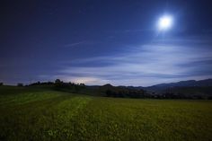 the moon shines brightly in the night sky over a grassy field