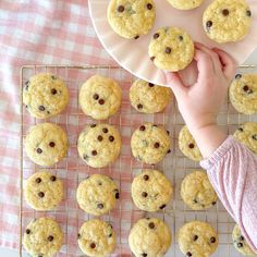 a person holding a cookie in front of a cooling rack with cookies and chocolate chips on it