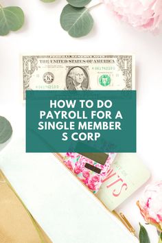 a pile of money with the words how to do payroll for a single member s corp