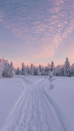 a person riding skis down a snow covered slope in the middle of a forest