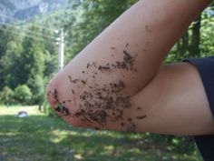 a person holding out their arm with some dirt on top of it and trees in the background