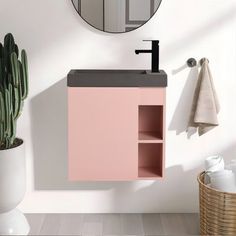 a bathroom with a sink and mirror next to a cactus in a pot on the floor