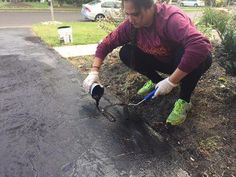 a woman in purple shirt and white gloves working on a fire hydrant