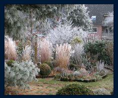 a garden with lots of trees and bushes