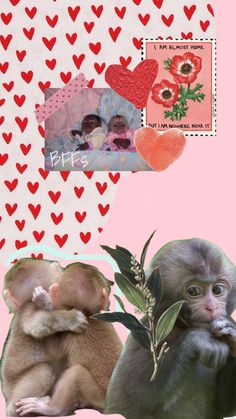 two small monkeys sitting next to each other on top of a pink and red background