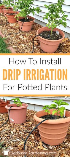 how to install drip irrigation for potted plants