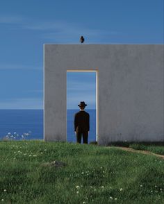 a man standing on top of a grass covered field next to an open doorway with a bird perched on top of it