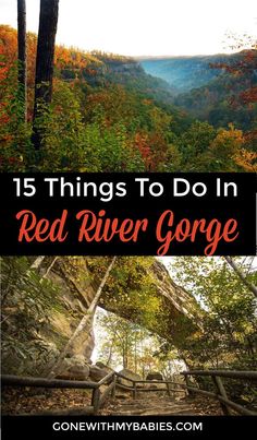 red river gorge in the fall with text overlay that reads 15 things to do in red river gorge