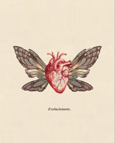 a drawing of a heart with wings and the words evolucanate written on it