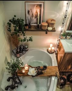 a bathtub with candles and plants in it