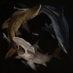 a painting of sharks and other animals in the water with one shark biting another fish's teeth