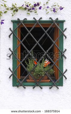 an open window with flowers in it and vines on the outside wall behind bars that lead out to a white stucco building