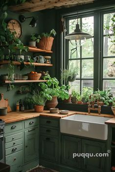 a kitchen filled with lots of green plants and potted plants on the counter top