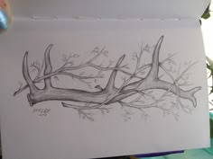 a pencil drawing of branches and leaves on a piece of paper next to a potted plant