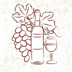 a bottle of wine and a glass of wine with grapes on the vine, hand drawn illustration