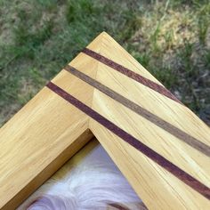 a close up of a wooden object with grass in the background