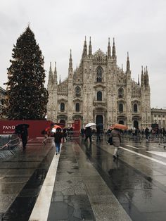 people with umbrellas are walking in the rain near a christmas tree and large cathedral