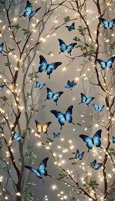 Butterflies, Blue