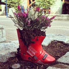 a red boot with flowers growing out of it