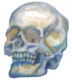 a painting of a human skull on a white background