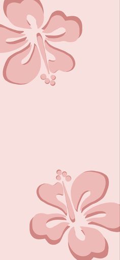 two pink flowers on a light pink background