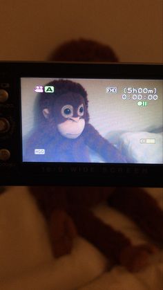 a person holding up a camera with a monkey on it