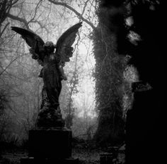 an angel statue stands in the middle of a cemetery with trees and leaves around it